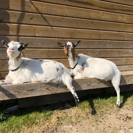 Apartamento Sonnenschloessl *