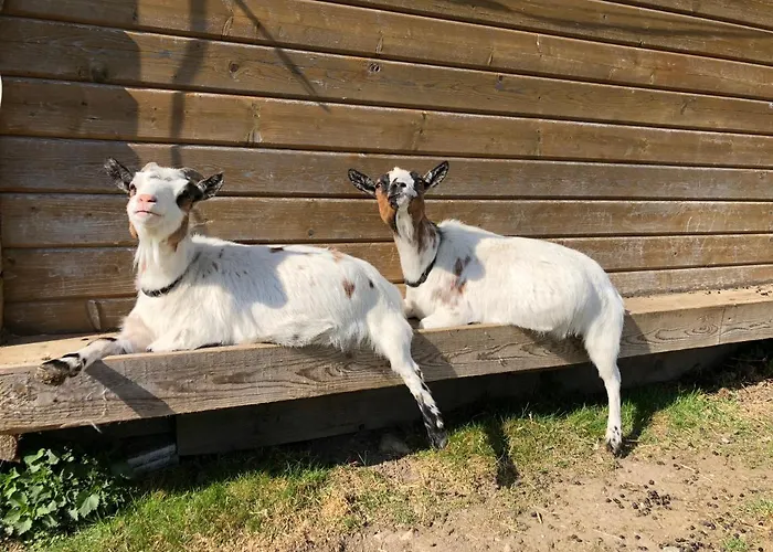 Apartment Sonnenschloessl *