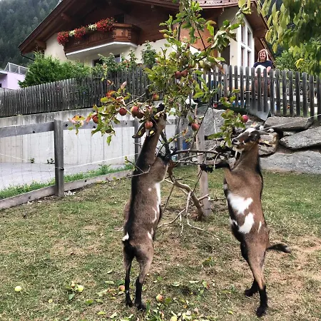 Sonnenschloessl * Neustift im Stubaital