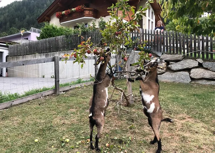 Sonnenschloessl * Нойштифт-им-Штубайталь